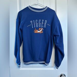 Disney Winnie the Pooh- Tigger Blue Sweater